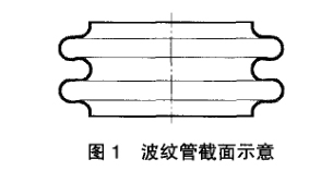 波紋管截面示意