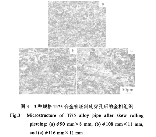 3種規(guī)格Ti75合金管坯斜軋穿孔后的金相組織