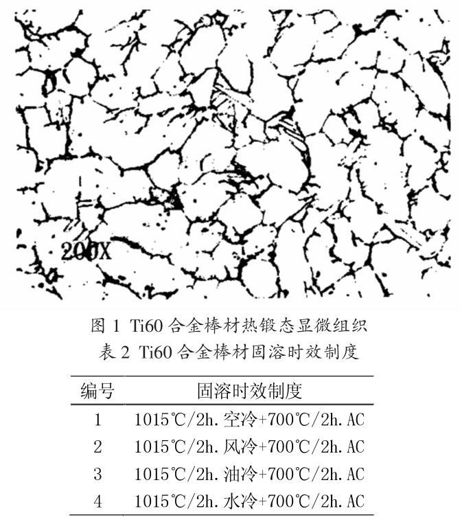 t1-b2.jpg